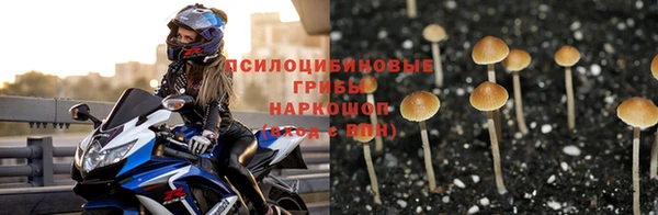 каннабис Алексеевка