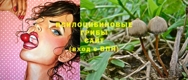 герыч Алексин