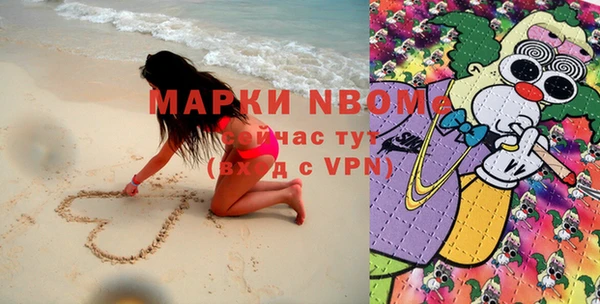 прущие грибы Алзамай