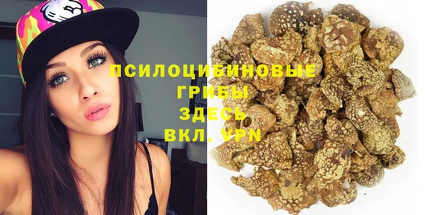 прущие грибы Алзамай
