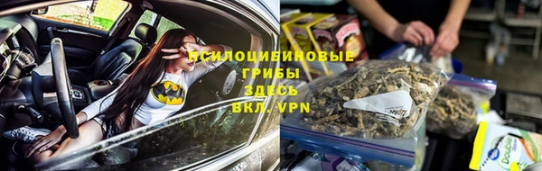 герыч Алексин