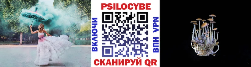 Псилоцибиновые грибы прущие грибы  Кашин 